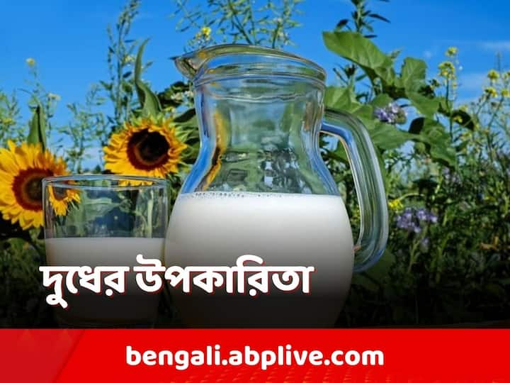 Milk Benefits: প্রত্যহ দুধ পান বা দুগ্ধজাত দ্রব্য খেলে অস্টিওপোরোসিস ও হাড়ের রোগ থেকে দূরে থাকা যায়। ওজন ঠিক থাকে।