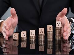 CEO : ભારતમાં આ IT CEOની એક વર્ષની કમાણી સાંભળી આંખે અંધારા આવી જશે