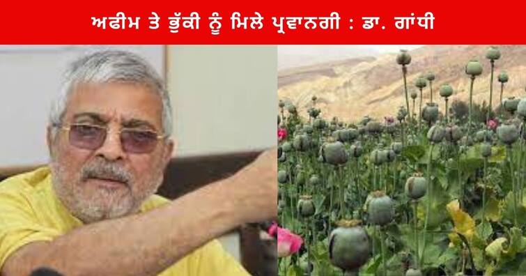 Dr. Dharamvir Gandhi said opium and poppy should be allowed to eradicate synthetic drugs from Punjab Punjab News: ਪੰਜਾਬ ਦੀ ਨੌਜਵਾਨੀ ਨੂੰ ਸਿੰਥੈਟਿਕ ਨਸ਼ਿਆਂ ਦੀ ਦਲ-ਦਲ 'ਚੋਂ ਬਾਹਰ ਕੱਢਣ ਲਈ ਰਵਾਇਤੀ ਨਸ਼ੇ ਅਫੀਮ ਤੇ ਭੁੱਕੀ ਨੂੰ ਮਿਲੇ ਪ੍ਰਵਾਨਗੀ : ਡਾ. ਗਾਂਧੀ