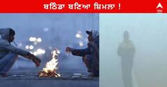 Punjab News : ਬਠਿੰਡਾ ਬਣਿਆ ਸ਼ਿਮਲਾ !  ਠੰਡ ਨੇ ਠਾਰੇ ਲੋਕਾਂ ਦੇ ਹੱਡ , ਅਗਲੇ 5 ਦਿਨਾਂ ਤੱਕ ਸੰਘਣੀ ਧੁੰਦ ਦੀ ਚੇਤਾਵਨੀ