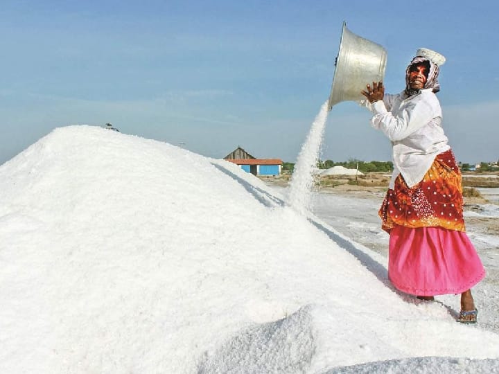 குஜராத் தொழில் நுட்பங்களை பின்பற்றி தூத்துக்குடியில் உப்பு உற்பத்தியை அதிகரிக்க வேண்டும் -அமைச்சர் கீதாஜீவன்