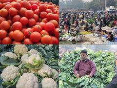 Delhi News: दिल्ली वालों के लिए लूट ऑफर! ताजी हरी सब्जियों की कीमत सुनकर उड़ जाएंगे होश