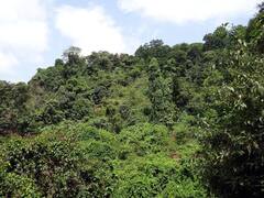 Quarries in Reserved Forest: காப்புக் காடுகளைச் சுற்றிலும் குவாரி, சுரங்கங்கள்; அமைச்சர் கேட்டதால் அரசாணையா?- சூழலியல் ஆர்வலர்கள் கடும் எதிர்ப்பு