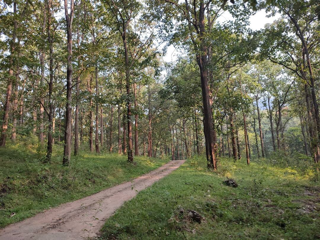 Osai organization alleged that the report giving permission for mining activities along reserve forests is shocking TNN காப்புக் காடுகளை ஒட்டி சுரங்கப் பணிகளுக்கு அனுமதி தரும் அறிக்கை அதிர்ச்சியளிக்கிறது - ஓசை அமைப்பு குற்றச்சாட்டு