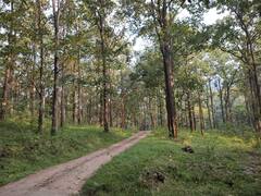 காப்புக் காடுகளை ஒட்டி சுரங்கப் பணிகளுக்கு அனுமதி தரும் அறிக்கை அதிர்ச்சியளிக்கிறது - ஓசை அமைப்பு குற்றச்சாட்டு