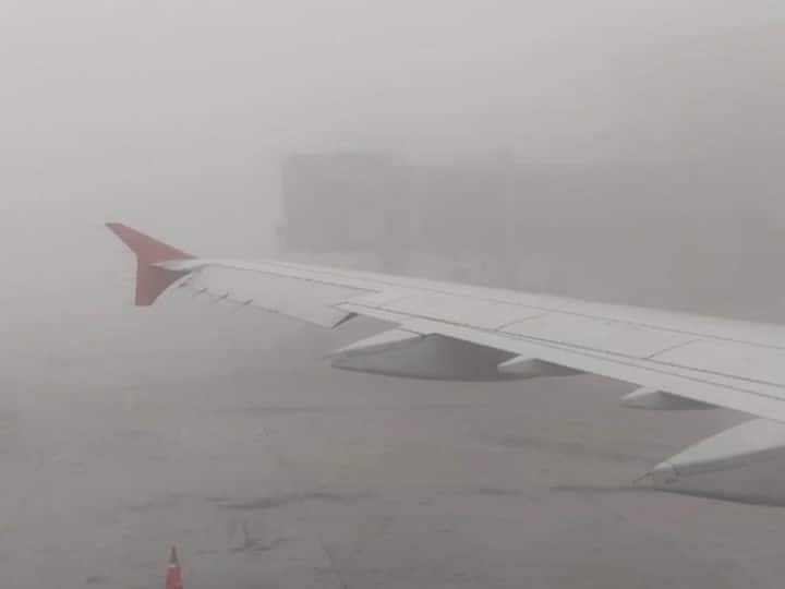 Delhi airport launches low visibility plan delhi indira gandhi international airport fog video Delhi Fog: राजधानी दिल्ली में भयंकर कोहरे से लोग परेशान, एयरपोर्ट ने लॉन्च किया Low Visibility प्लान- Video