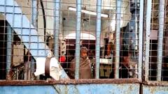 ধোপে টিকল না সওয়াল, গরুপাচার মামলায় দিল্লি যেতে হচ্ছে অনুব্রতকে