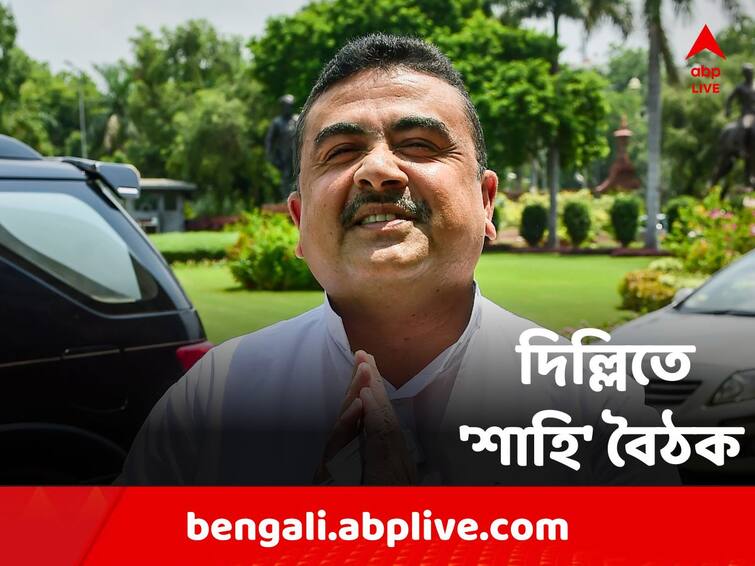 How many cases against Suvendu state police? Submit the list to the Union Home Minister Suvendu Adhikari: শুভেন্দুর বিরুদ্ধে রাজ্য পুলিশের কত মামলা? কেন্দ্রীয় স্বরাষ্ট্রমন্ত্রীকে তালিকা পেশ