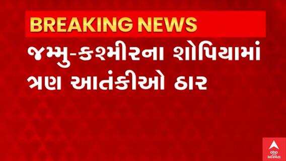 Jammu Kashmir: શોપિયામાં સુરક્ષાદળના જવાનોએ ત્રણ આતંકીઓને માર્યા ઠાર