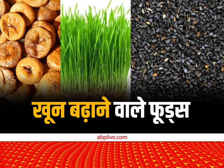 To increase blood, eat these tasty foods in winter, cold will not bother you