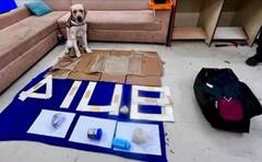 VIDEO: इस कुत्ते से बचना आसान नहीं, युगांडा से आई महिला के पर्स से निकलवा दिया 5.35 करोड़ रुपये का ड्रग्स