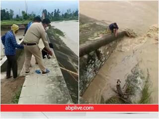 बांध में फंसा था कुत्ता, शख्स ने जान पर खेलकर बचाई उसकी जान, Video देखिए