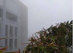 Fog in India : ਸੰਘਣੀ ਧੁੰਦ ਦੀ ਚਾਦਰ 'ਚ ਲਿਪਟਿਆ ਉੱਤਰ ਭਾਰਤ , ਧੁੰਦ ਨਾਲ ਢਕਿਆ ਅਸਮਾਨ , ਦੇਖੋ ਫੋਟੋਆਂ
