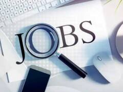 गुना के शिक्षित बेरोजगारों के लिए गुड न्यूज! 30 दिसंबर को लगेगा रोजगार मेला, जानिए- कितनी होगी सैलरी
