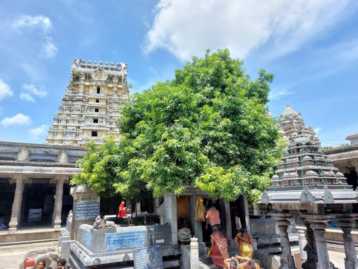 சோமஸ்கந்தர் வழக்கு 5 ஆண்டுகள் ஆகியும் காலதாமதம் - மிரட்டப்படுவதாக மனுதாரர் அதிர்ச்சி தகவல்
