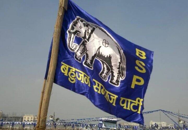 MP Assembly Elections 2023 BSP has effect assembly Election result on some assembly seats MP Election 2023 News:  बसपा तय करेगी चुनावी नतीजे! तीन दर्जन सीटों पर सीधा प्रभाव, जानिये- क्या रहा अबतक का इतिहास
