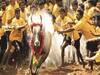 Jallikattu 2023: ஜல்லிக்கட்டு போட்டிக்கு புதிய விதிமுறைகளா? - அமைச்சர் ஆலோசனையில் முக்கிய முடிவு!