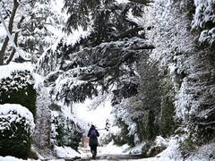 What Is Cold Weather Payment? The Scheme UK Activates In Freezing Conditions