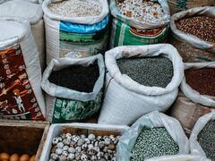 Weight Loss: करीना कपूरसारखी फिगर मिळवायची असेल तर या बिया खा, अतिरिक्त चरबी लोण्यासारखी वितळेल!