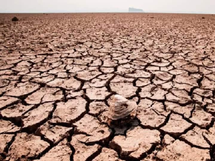 Maharashtra Rain Updates Fear of severe drought in state no Rain in Marathwada farmers in trouble Know updates राज्यात भीषण दुष्काळाची भीती; मराठवाड्याकडे तर पावसानं फिरवलीये पाठ, बळीराजा संकटात