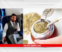 Yerba Mate : मेस्सीच्या एनर्जीचं रहस्य, 'ही' ड्रिंक आहे अर्जेंटिंना संघाचं सीक्रेट?