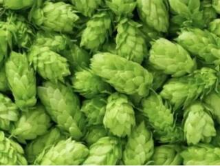 Expensive Vegetable: ਦੁਨੀਆ ਦੀ ਸਭ ਤੋਂ ਮਹਿੰਗੀ ਸਬਜ਼ੀ, ਬਾਜ਼ਾਰ 'ਚ ਕੀਮਤ 85,000 ਰੁਪਏ ਪ੍ਰਤੀ ਕਿਲੋ