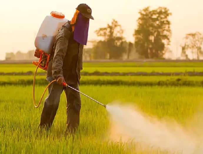 Pesticides: degree diploma has been mandatory for selling pesticides in UP Pesticides: જો જંતુનાશક દવાઓ વેચવાનો બિઝનેસ કરી રહ્યા છો  તો 31 ડિસેમ્બર સુધીમાં આ કામ કરો, નહીં તો દુકાન બંધ કરવી પડશે.