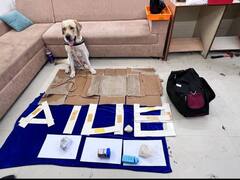 ரூபாய் 5 கோடி மதிப்புள்ள போதை பொருளை கண்டுபிடித்த மோப்ப நாய்..! சென்னை விமான நிலையத்தில் பரபரப்பு..!