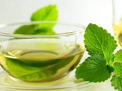 Tulsi Tea: गले की खराश और दर्द से तुरंत दिलाएगा छुटकारा, इस तरह घर में बनाएं तुलसी पत्ती की चाय