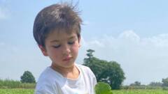 Entertainment: ছ'বছর পূর্ণ তৈমুরের! ফিরে দেখা কিছু মিষ্টি মুহূর্ত