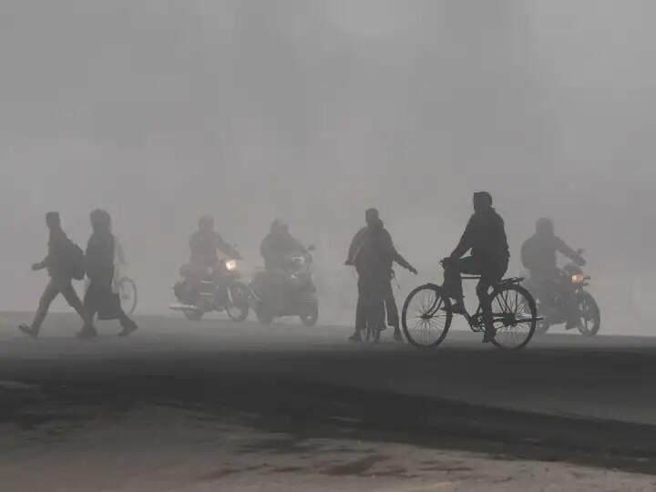 Weather Update: imd announced yellow alert in delhi after reduced visibility due to fog snowfall Weather Forecast: દિલ્હીમાં કડકડતી ઠંડીની સાથે ઓછી થઇ વિઝિબિલિટી- IMDએ જાહેર કર્યુ આ એલર્ટ