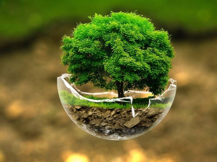 सवेरे धरती मां को प्रणाम करके ही पहला कदम जमीन पर रखना चाहिए. धरती मां इस संसार का बोझ उठाती हैं, प्रतिदिन इनका धन्यवाद करने पर समृद्धि बनी रहती है.
