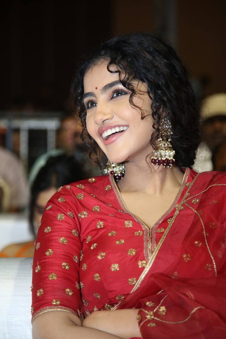 ఇతర భాషల్లోనూ భారీ అవకాశాలు.