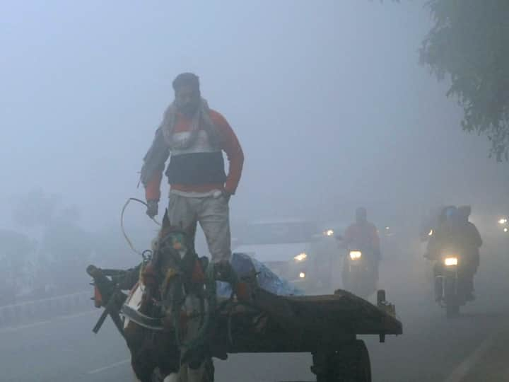 Fog in India: ठंड के मौसम शुरुआत हो चुकी है. आधा दिसंबर गुजर जाने के बाद कोहरे से पूरा आसमान को ढक चुका है. आज (20 दिसंबर) की बात करें तो सुबह से ही गहरा कोहरा छाया हुआ है और विजिबिलिटी कम है.