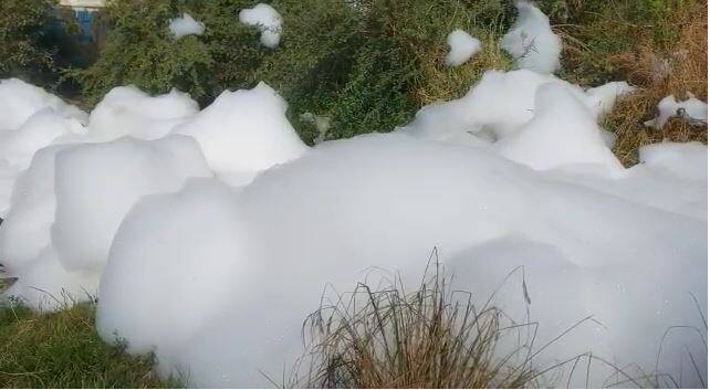 अंबरनाथ शहरातून वाहणाऱ्या वालधुनी नदीवर प्रदूषणाचा फेस जमा झाल्याचं चित्र आज पाहायला मिळालं.