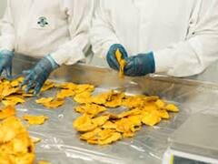 PMFME scheme: தொழில் தொடங்கும் திட்டம் இருக்கா? ரூ.10 லட்சம் வரை அரசின் மானியம்; முழு விவரம் இங்கே..!