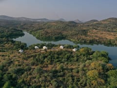 बाघदड़ा नेचर पार्क है मगरमच्छों का ठिकाना, केंद्र सरकार ने किया रिजर्व कंजर्वेशन घोषित