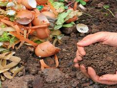 கழனிகளில் கிடைக்கும் கழிவுகளில் இருந்து உரமாக்கும் உயரிய எளிய தொழில் நுட்பங்கள்