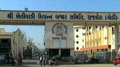 રાજકોટઃ સૌરાષ્ટ્રના માર્કેટ યાર્ડમાં જણસના સારા ભાવ બોલાતા ખેડૂતોમાં આનંદો, કયા પાકના કેટલા છે ભાવ?