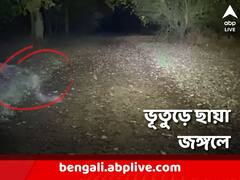 টর্চ জ্বালতেই সরে গেল 'অশরীরী'! ভূত না অন্য কিছু?