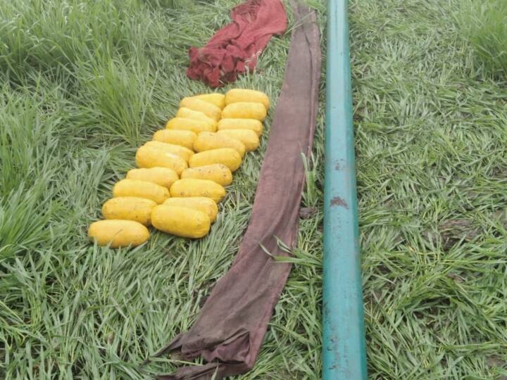 Punjab News: पंजाब के फज्जलिका में BSF ने नाकाम की तस्करों की साजिश, 25 पैकेट संदिग्ध सामान मिला Border Security Force Found 25 packets of suspicious goods in Punjab Fazilka Punjab News: पंजाब के फज्जलिका में BSF ने नाकाम की तस्करों की साजिश, 25 पैकेट संदिग्ध सामान मिला