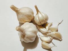 Garlic Benefits: हिवाळ्यात लसूण खाणे आरोग्यासाठी आहे फायदेशीर; वाचा सविस्तर!