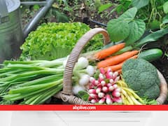 आने वाले 15 दिन में कौन-कौन सी सब्जियां लगाने का टाइम आ रहा है? आप घर पर ही लगा लें, बचेगा खर्चा