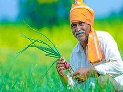 अभिनव फार्मर्स क्लबच्या पुढाकारानं 25 डिसेंबरला कृषी मेळावा, 'या' विषयांवर शेतकऱ्यांना होणार मार्गदर्शन