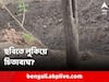 Optical Illusion: ছবির মধ্যে মিশে রয়েছে চিতাবাঘ! খুঁজে পেতে বেগ পেতে হচ্ছে সকলকেই