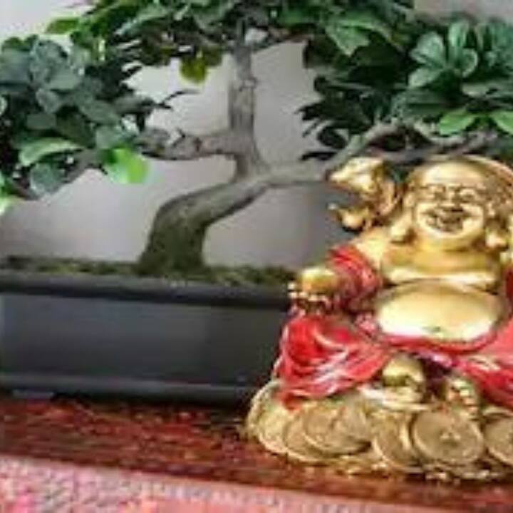 নতুন বছরে আপনার ঘর সাজান ফেংশুইয়ের নিয়ম মেনে।