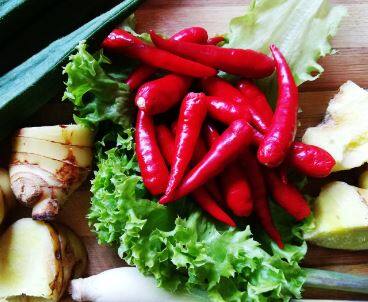 नंदूरबार जिल्ह्यात सर्वाधिक भुरी रोगाचाच प्रादुर्भाव दिसून येत आहे. त्यामुळं यावर्षी मिरचीच्या उत्पादनात प्रचंड घट येण्याची शक्यता व्यक्त केली जात आहे. शेतकऱ्यांनी मिरचीचं उत्पादन घेण्यासाठी केलेला खर्चही यातून निघणार नसल्यानं शेतकरी चिंतेत आहेत.