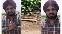 Gurpreet Ghuggi: ਗੁਰਪ੍ਰੀਤ ਘੁੱਗੀ ਦੀ ਫਿਲਮ ਦੇ ਸੈੱਟ ‘ਤੇ ਆ ਗਿਆ ਸੱਪ, ਫਿਰ ਘੁੱਗੀ ਨੇ ਜੋ ਕੀਤਾ, ਦੇਖੋ ਇਸ ਵੀਡੀਓ 'ਚ