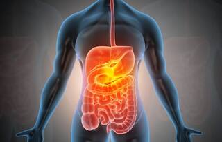 Healthy Digestion : ਡਾਇਜੇਸ਼ਨ ਫਾਸਟ ਕਰਨਾ ਹੈ ਤਾਂ ਅਪਣਾਓ ਆਯੁਰਵੇਦ ਦੇ ਇਹ ਗੋਲਡਨ ਰੂਲਜ਼, ਸਵੇਰੇ ਆਸਾਨੀ ਨਾਲ ਸਾਫ ਹੋਵੇਗਾ ਪੇਟ 