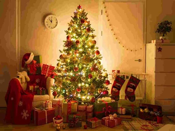 Importance and Significance of the Christmas Tree Christmas 2022:ક્રિસમસના દિવસે ઘરમાં કેમ લવાય છે ક્રિસમસ ટ્રી? જાણો તેનું મહત્વ